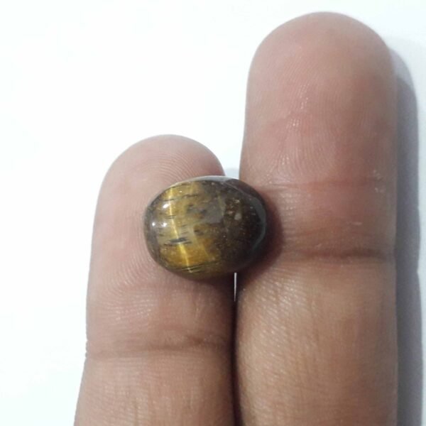 Tiger 10.30ct Eye - Image 2