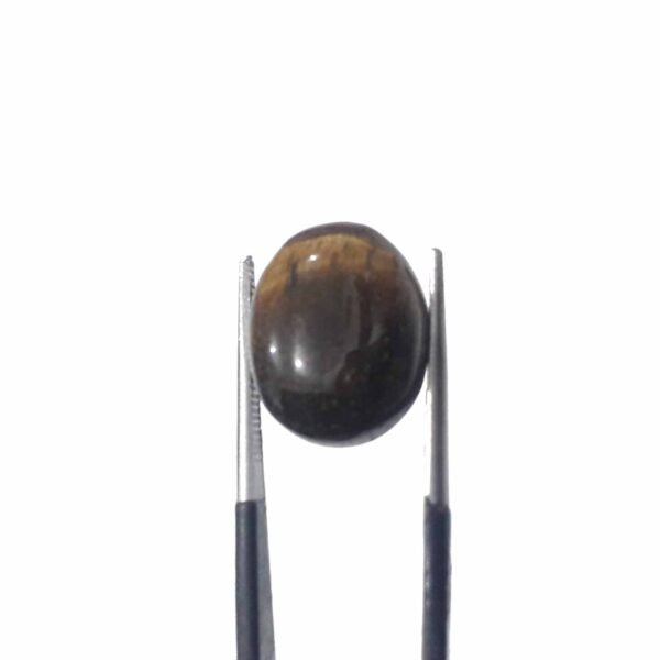 Tiger 10.30ct Eye - Image 3