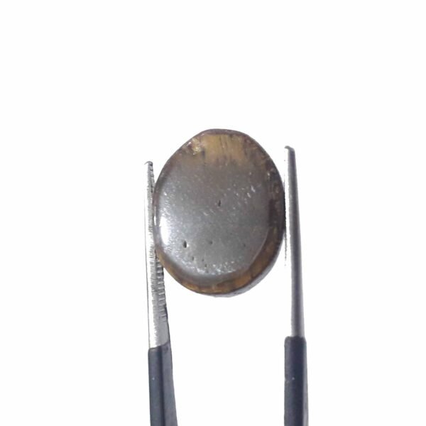Tiger 10.30ct Eye - Image 4