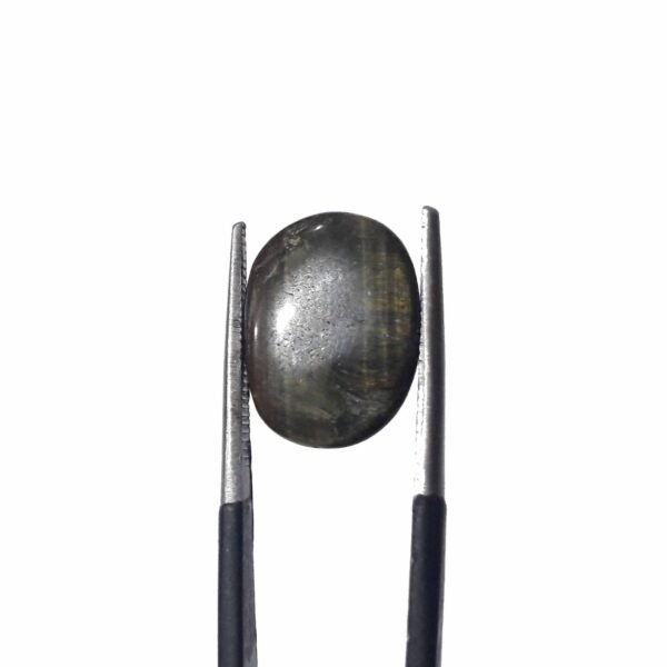 Tiger 5.80ct - Image 4