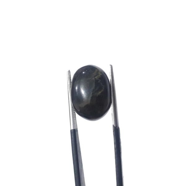 Tiger 9.75ct