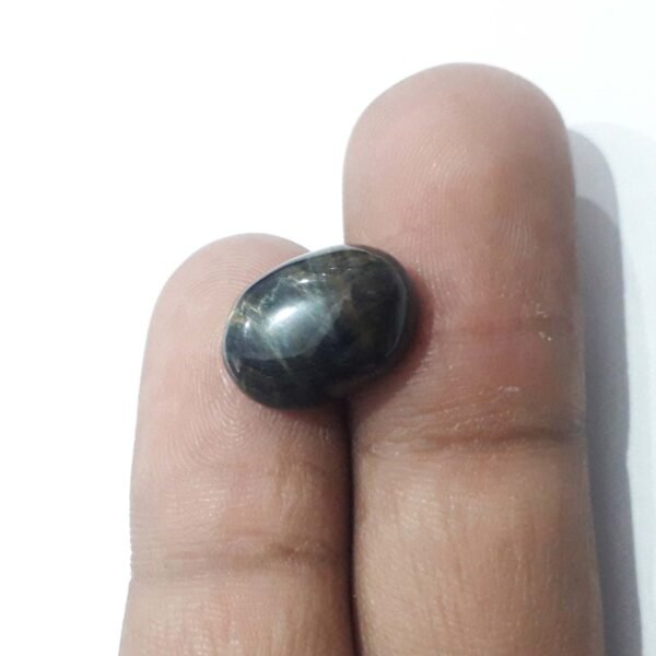 Tiger 9.75ct - Image 2
