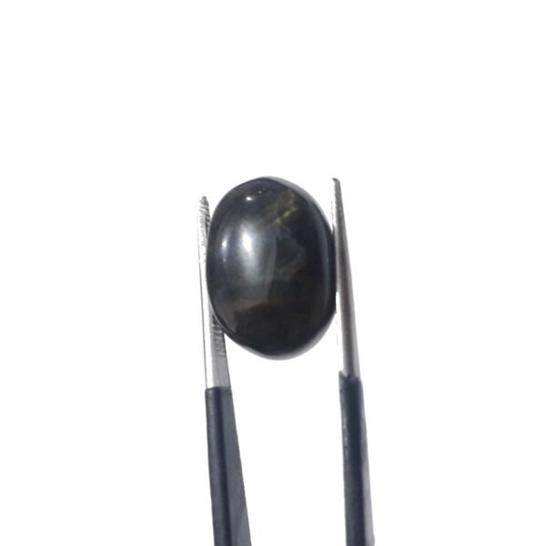 Tiger 9.75ct - Image 3
