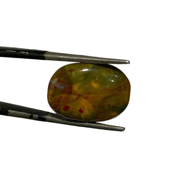 Blood Stone 10.70ct