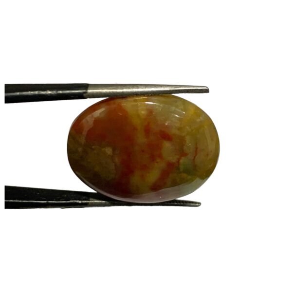Blood Stone 16.90ct