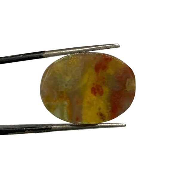 Blood Stone 16.90ct - Image 2