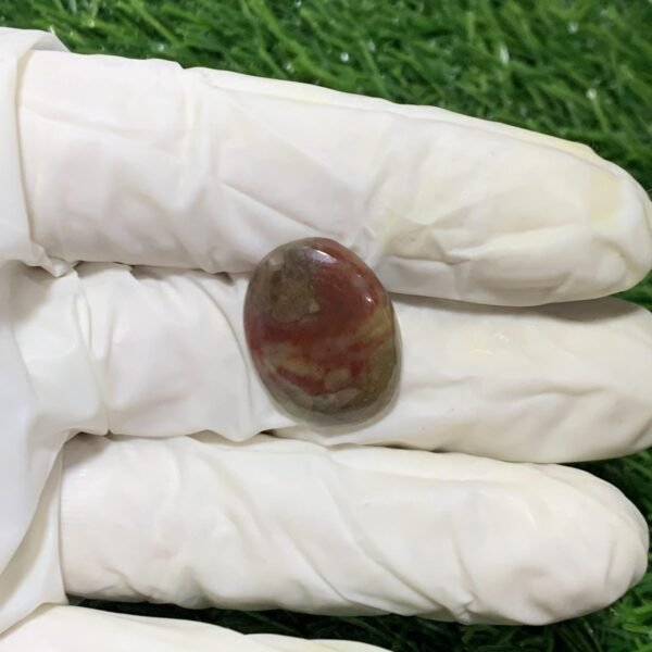 Blood Stone 16.90ct - Image 3