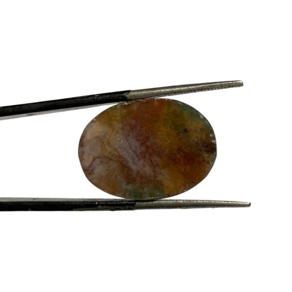 Blood Stone 14.70ct - Image 2