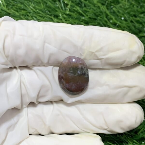 Blood Stone 14.70ct - Image 3