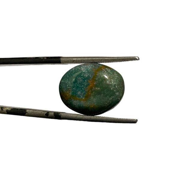 Blood Stone 6.95ct