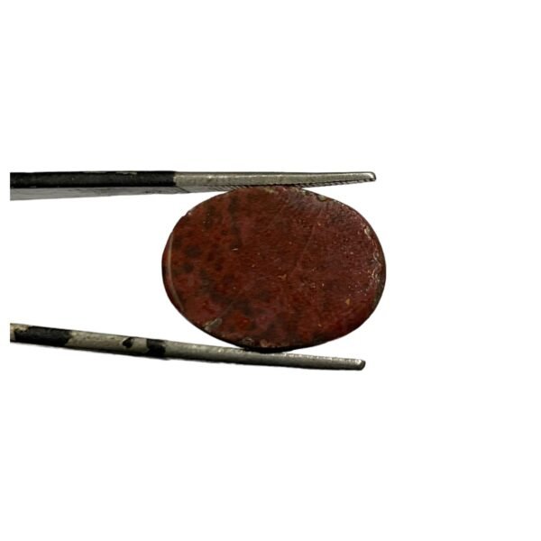 Blood Stone 12.90ct - Image 2