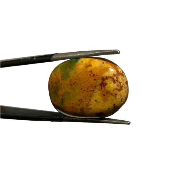 Blood Stone 13.45ct