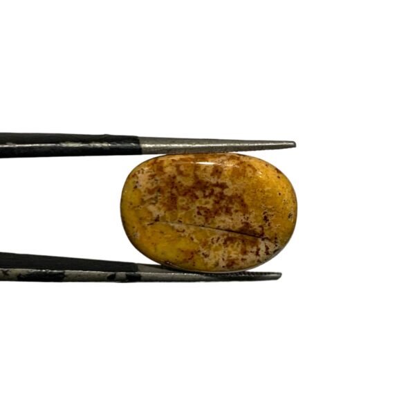 Blood Stone 13.45ct - Image 2