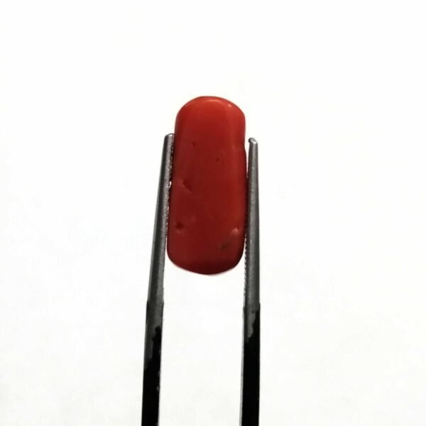 coral 6.55ct - Image 3