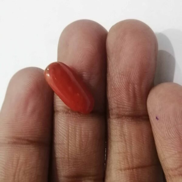 coral 4.00ct - Image 2