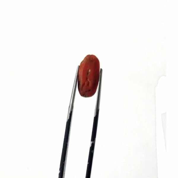 coral 4.00ct - Image 3