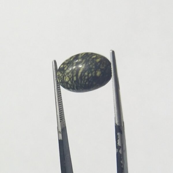 Serpentine 5.55ct