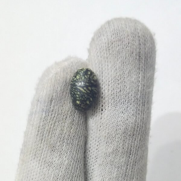 Serpentine 5.55ct - Image 2