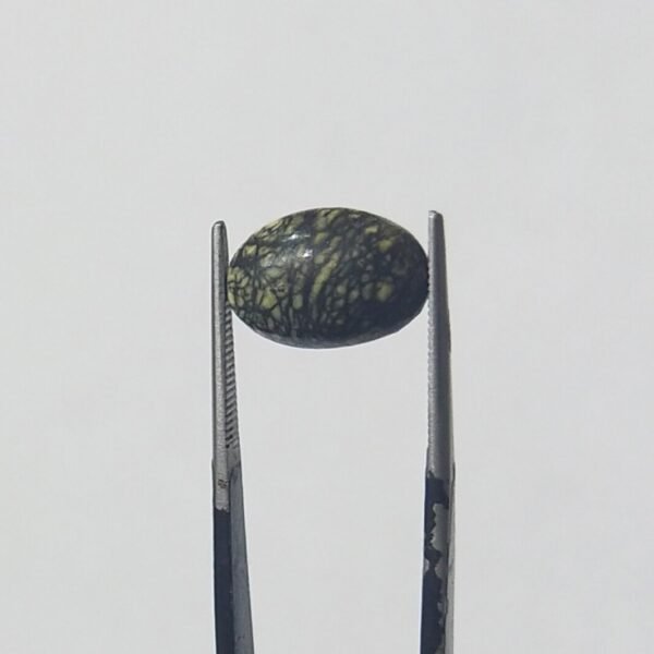 Serpentine 5.55ct - Image 3