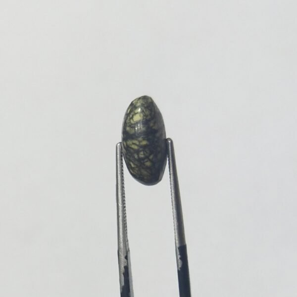 Serpentine 5.55ct - Image 4